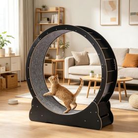 Wooden Cat Exercise Wheel (title: default title)